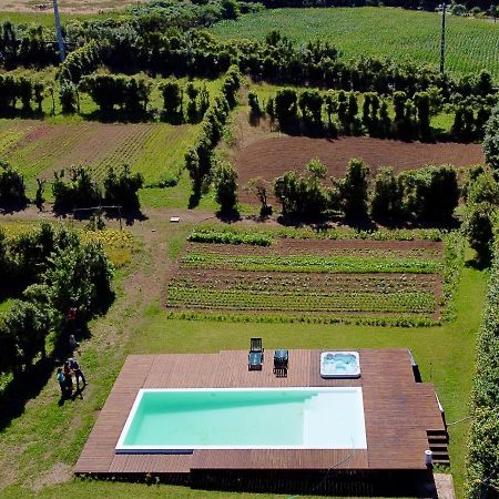 Quinta Dos Sabores Farm Houses Рибейра-Гранди Экстерьер фото
