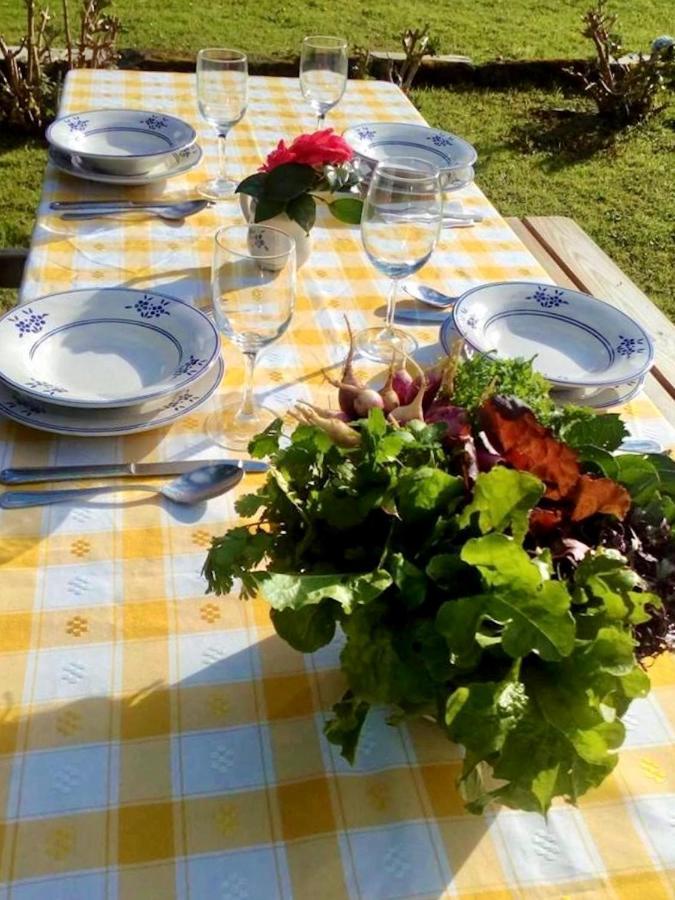 Quinta Dos Sabores Farm Houses Рибейра-Гранди Экстерьер фото